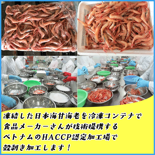 ���´ų�Ϸ ���դ��������ž夲 L�����������äפ�20�� ���� ���� ���� ���� ������