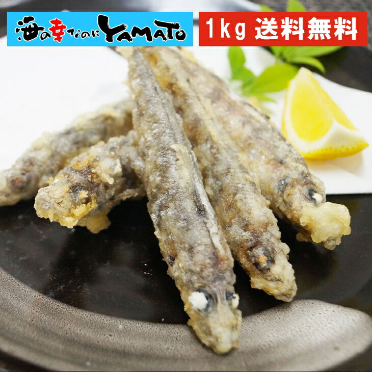 【ふるさと納税】メヒカリ 詰め合わせ セット 約 1.6kg 海のまち 延岡産 塩焼き用 米粉付 各 300 × 1袋 メヒカリドレス 500g × 2袋 フライ おかず おつまみ 袋入り 冷凍 国産 海産物 宮崎県 延岡市 日向灘 送料無料