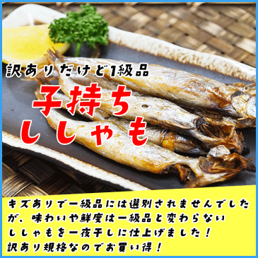 訳あり 子持ちシシャモ一夜干し たっぷり850g ししゃも 柳葉魚 干物【クーポンで580円OFF】 あす楽