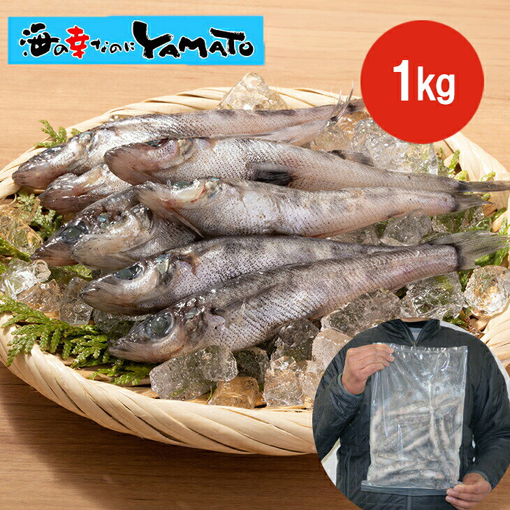 唐揚げにして旨い魚！ “常磐もの”メヒカリ 山盛り1kg 茨城県沖産 めひかり 目光 唐揚げ 天ぷら