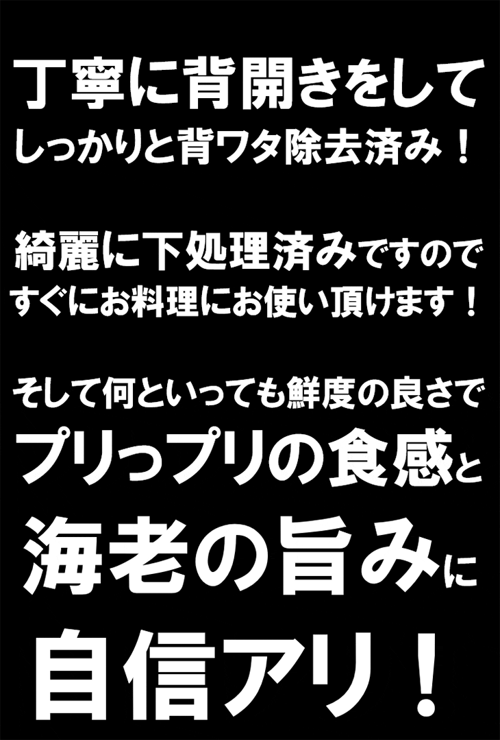 ゴロゴロ剥き海老 NET1kgに山盛り60尾前後入 下処理済みで簡単調理 えび エビ むき...