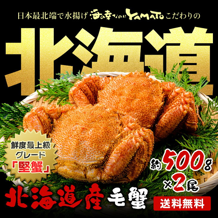 北海道オホーツク産 浜茹で毛蟹 大型500gサイズ×2尾入 合計1kg 化粧箱入り 堅蟹 カタガニ かたがに ケガニ 毛ガニ かに カニ お祝い お歳暮 お年賀 プレゼント お歳暮 3