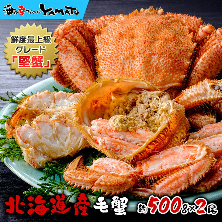  Im50% Iōő100%PobN N[|p2,000~OFF  kCIz[cNY l䥂ŖъI ^500gTCY~2 v1kg ϔ I J^Kj  PKj уKj  Jj j Ε N v[g Ε