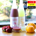 いちご酒・ゆず酒セット 各720ml 専用化粧箱入り 寒梅酒造 宮寒梅 各種メッセージカード お酒 リキュール 日本酒 クリスマス お誕生日 母の日 プレゼント ギフト 贈答 お歳暮