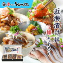 近海漬け丼 なめろう しめ鯖セット サバ 鯖 〆さば アジ 鯵 なめろう ブリ 海鮮 贈答 父の日 母の日お中元 敬老の日 お歳暮 お年賀 60代 70代 ギフ...