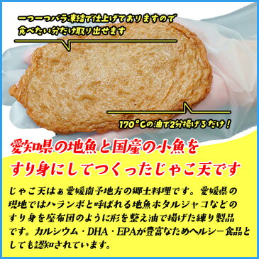 じゃこ天 1枚60g×20入り 計山盛り 1,2kg じゃこてん揚げてんぷら 皮てんぷら 冷凍食品 惣菜