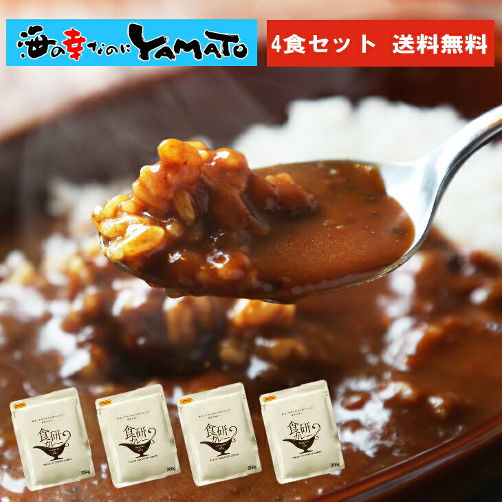 食研カレー 4食セット (200g × 4パッ