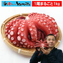 北海道産・北海道加工! 旨味たこ 一尾丸ごと1kg前後 蛸 タコ たこ 御節 お節 お中元 タウリン