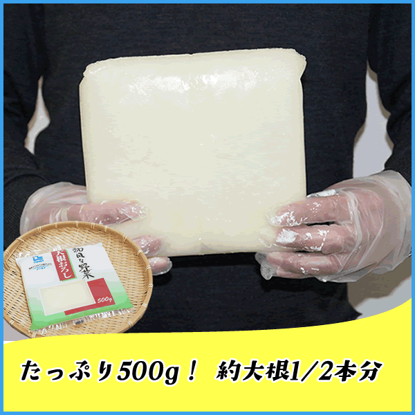̵ź�� �纬������ 500g ���⻺�纬�������� ��1/2��ʬ �������󥪥��� �������󤪤��� ���࿩�� �ں� ������
