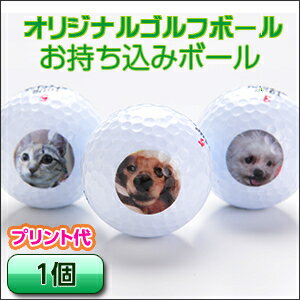 お持込み・オリジナルゴルフボール【記念品 ギフト 贈り物 父の日 母の日 誕生日 結婚祝い プレゼント】