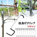 S.fields.inc正規直営店 枝曲げクリップ 10個セット 金具 枝ベンダー 支柱 樹木 スペーサー 剪定 園芸 果樹園
