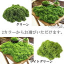 sfieldsinc:10000515のサンプル画像3