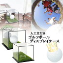 S.fields.inc正規直営店 ゴルフボールケース ディスプレイケース 人工芝付き クリア アクリル コレクション 記念球(4)