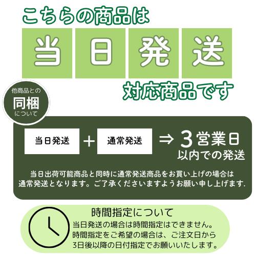 【現品株】クリスマスローズ ダブル咲き 115-3 4.5号ポット苗