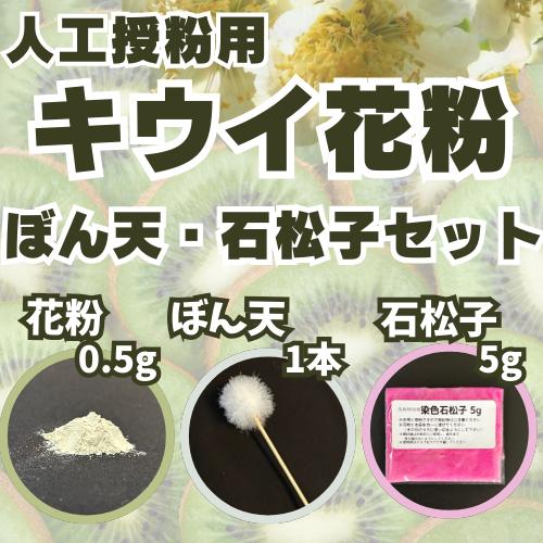 楽天市場】キウイ 受粉 用 花粉の通販 楽天市場】キウイ 受粉 用 花粉の通販