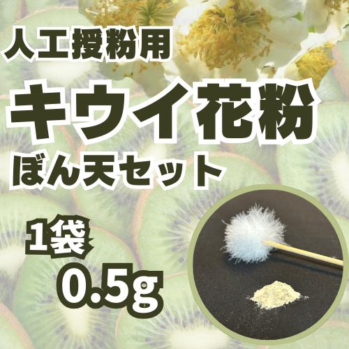 キウイ花粉0.5g・ぼん天セット