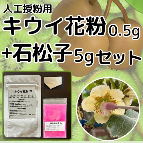キウイ花粉0.5g・染色石松子5gセット