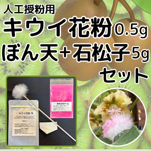 キウイ花粉0.5g・ぼん天・染色石松子5gセット