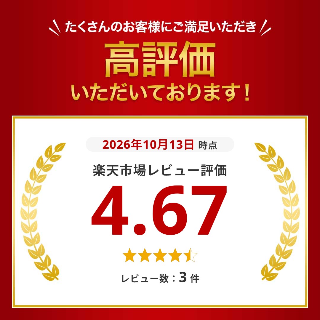 楽天1位 システムポリマー ジッパー式ポリ袋 4-L 100枚×2袋セット 透明 A3サイズ 特大 縦480×横340mm a3 ジッパー付き袋 ゴミ袋 厚手 チャック付き袋 System Polymer 4L (3)