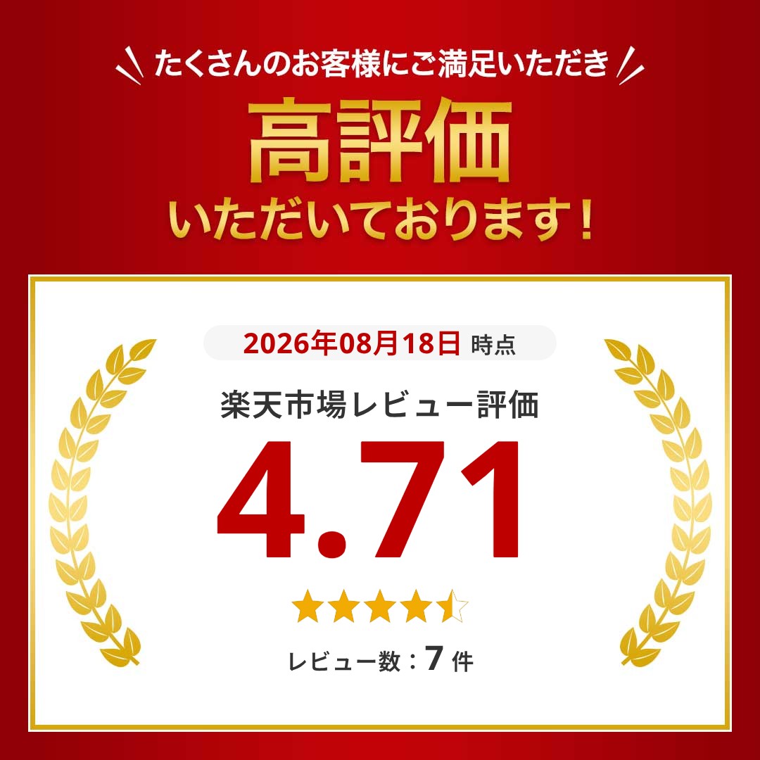 楽天1位 システムポリマー ジッパー式ポリ袋 4-L 100枚入 透明 A3サイズ 特大 縦480×横340mm a3 ジッパー付き袋 ゴミ袋 厚手 チャック付き袋 System Polymer 4L (3)