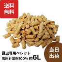 sforest:10000166のサンプル画像1