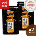 京都 祇園味幸 日本一辛い 黄金一味 9g×2袋 一味唐辛子 激辛 日本一スパイス 唐辛子 袋・詰め替え用