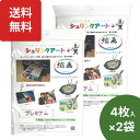 楽天1位 シュリンクアート縮画 インクジェット対応 プラ板 A4 4枚入×2袋 プラ板 印刷 透明 プラバン 印刷