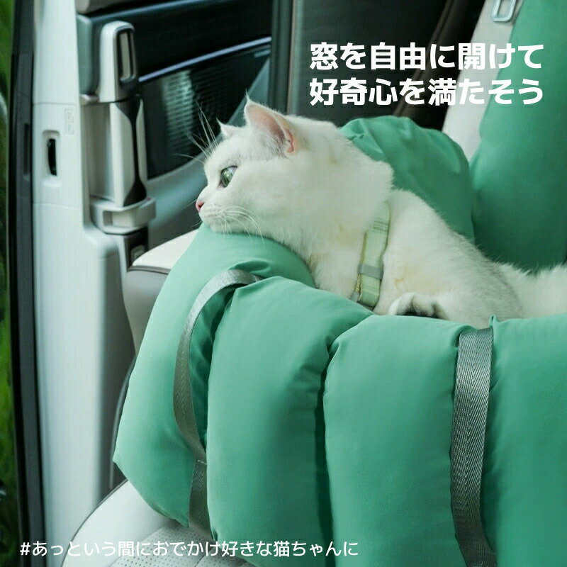 �ں���P10��ǭ �� �٥å� �� ����꡼ �淿�� ���ѥ٥å� �ɥ饤�֥ܥå��� �ڥå��� ǭ �� ����꡼�Хå� �ɥ饤�֥٥å� 2WAY ���ʥ����� ��������ǽ �������� �ֺܡ����󤲲�ǽ 2WAY �ݡ����֥�ǭ�ѥ٥å� �͵��б� �������ݲ��߷פΥ��������ɥ�����