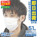 15時までのご注文で当日発送！【あす楽】【送料無料】【ネコポス】マスク 在庫あり 50枚＋1枚 51枚 箱 不織布 使い捨てマスク プリーツ プリーツマスク 大人用 男女兼用 使いすて 花粉症 花粉 ほこり ハウスダスト ウイルス 痛くならない 3層 ノーズワイヤー mk5100-2