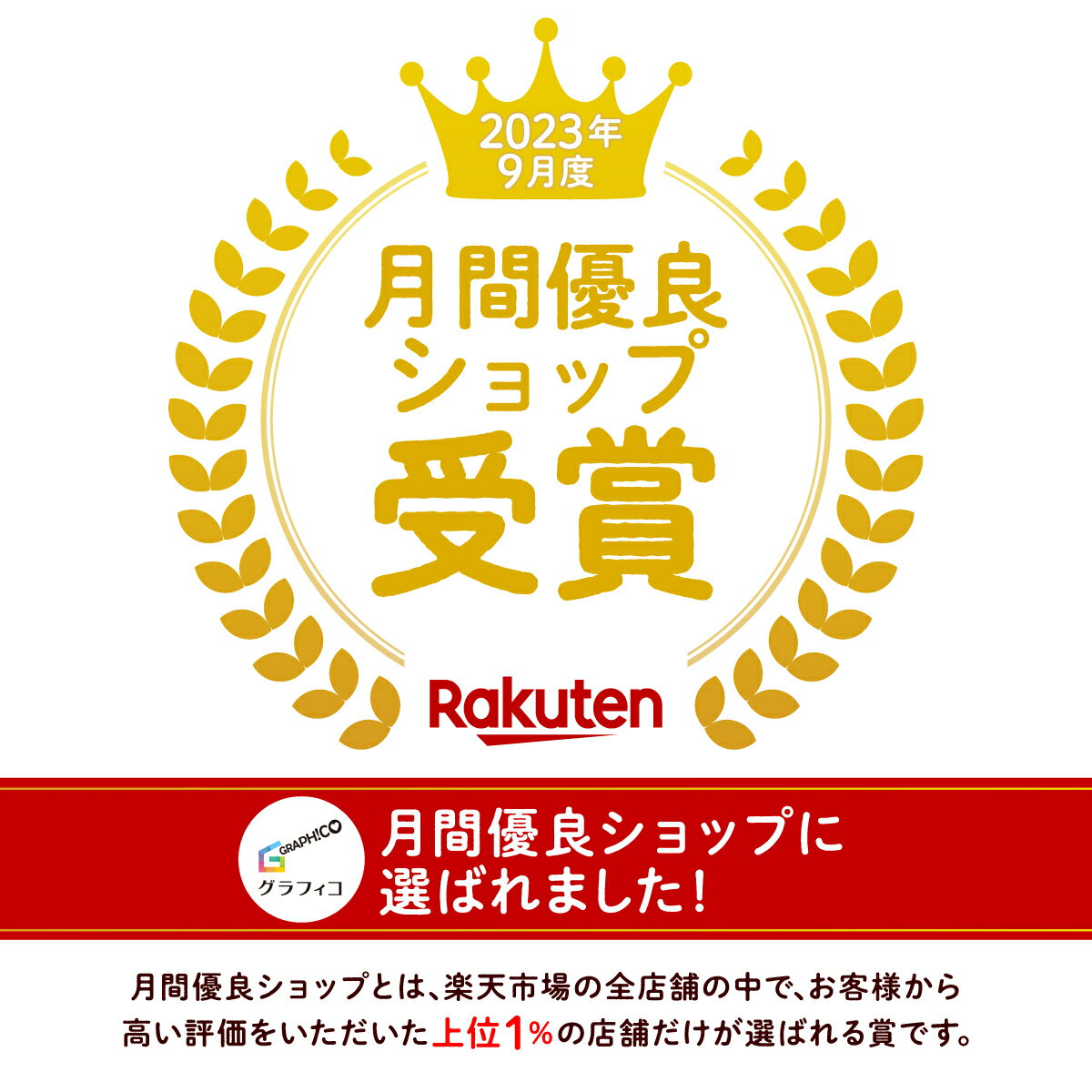 オキシクリーン 専用 漬けおき用バッグ ×2個セット 漬けおき 洗い グラフィコ 酸素系漂白剤 ランドリーバッグ バスケット オキシ漬け 除菌 つけ置き洗い スニーカー 上履き 漂白 シミ取り 洗濯用品 たらい 折りたたみ 洗濯 つけ置きバッグ 2