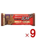 ブルボン プロテインバー BCAA+ チョコレートクッキー プロテイン チョコレート クッキー タンパク質 9個
