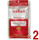 GABAN ギャバン スパイス ケイジャンシーズニング 100g 2個セット ミックススパイス ハウス食品 香辛料 パウダー 業務用