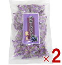【25日限定!抽選で最大全額ポイントバック※要エントリー】 土筆屋 ブルーベリー 寒天 240g かんてん 和菓子 おやつ カンテン 食物繊維 2個