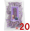 【25日限定!抽選で最大全額ポイントバック※要エントリー】 土筆屋 ブルーベリー 寒天 240g かんてん 和菓子 おやつ カンテン 食物繊維 20個