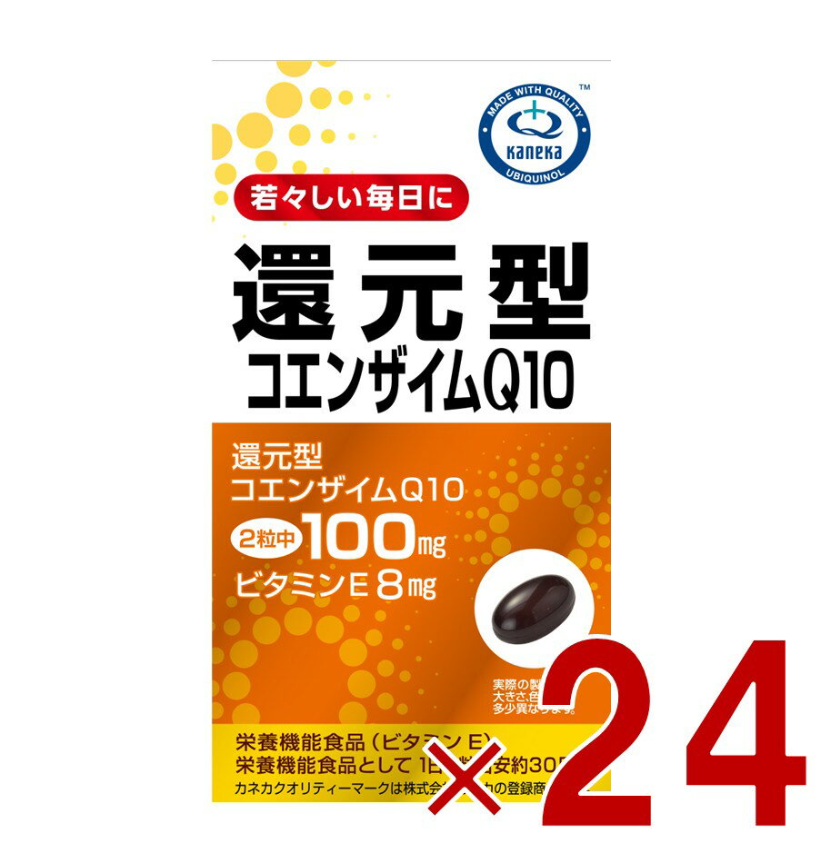リケン 還元型コエンザイムQ10 60粒 還元型Q10 サプリメント コエンザイム 健康 美容サプリ エネルギー..