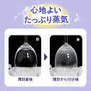 《花王》 めぐりズム 蒸気でグッドナイト 首もと あったかシート ラベンダーの香り 5枚入 返品キャンセル不可 2