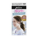 《花王》 ブローネ 泡カラー 2N:より明るいナチュラリーブラウン 【医薬部外品】 返品キャンセル不可