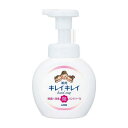 【医薬部外品】《ライオン》 キレイキレイ 薬用 泡ハンドソープ ポンプ シトラスフルーティの香り 250ml