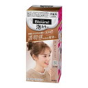 《花王》 ブローネ 泡カラー 1N:ナチュラリーベージュ 【医薬部外品】 返品キャンセル不可