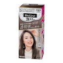 【医薬部外品】《花王》 ブローネ 泡カラー2NAナチュラリーアッシュ 108mL (白髪用ヘアカラー) 返品キャンセル不可