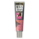 《ホーユー》 CIELO (シエロ) カラートリートメント リタッチ用 アッシュブラック 140g ★定形外郵便★追跡・保証なし★代引き不可★