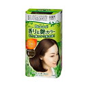 《花王》 ブローネ 香りと艶カラー クリーム 6:ダークブラウン 【医薬部外品】 返品キャンセル不可