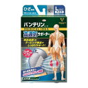 《興和》 バンテリンコーワサポーター 高通気サポーター ひざ専用 シルバーグレー Lサイズ大きめ 1枚入(4)