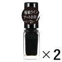 《コーセー》 NAIL HOLIC ネイルホリック アート BK081 5ml×2 （ネイルカラー）