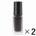 《コーセー》 NAIL HOLIC ネイルホリック GY008 5ml×2 （ネイルカラー）