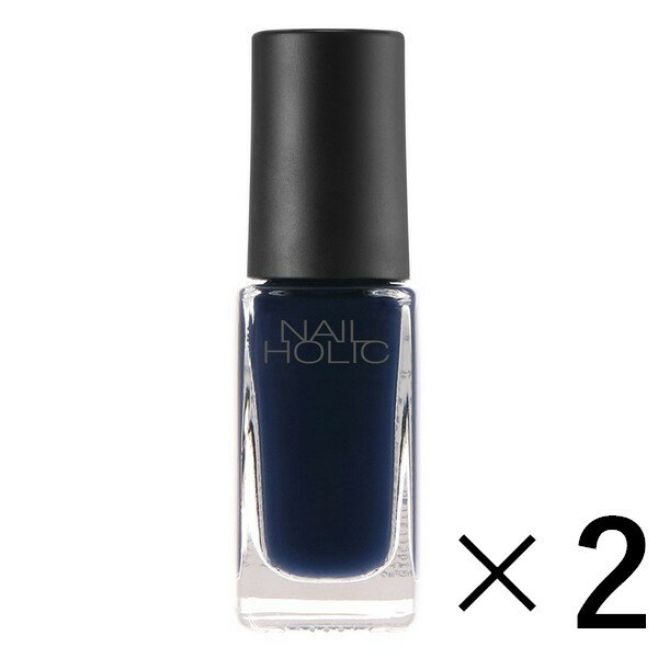 sR[Z[t NAIL HOLIC lCzbN BL905 5ml~2 ilCJ[j