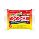 《興和》 ホッカイロ ぬくぬく日和 貼るタイプ ミニ 10個入り(4)