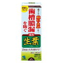 【医薬部外品】《小林製薬》 生葉b お試しサイズ 40g (歯槽膿漏予防薬用歯みがき)
