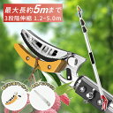 【期間限定!10%OFFクーポン!】【替刃付き】高枝切りバサミ ノコギリ 高枝切鋏 伸縮式 剪定鋏 はさみ 高所太枝切鋏 高枝切り鋏 たかえだきりばさみ2m3m...
