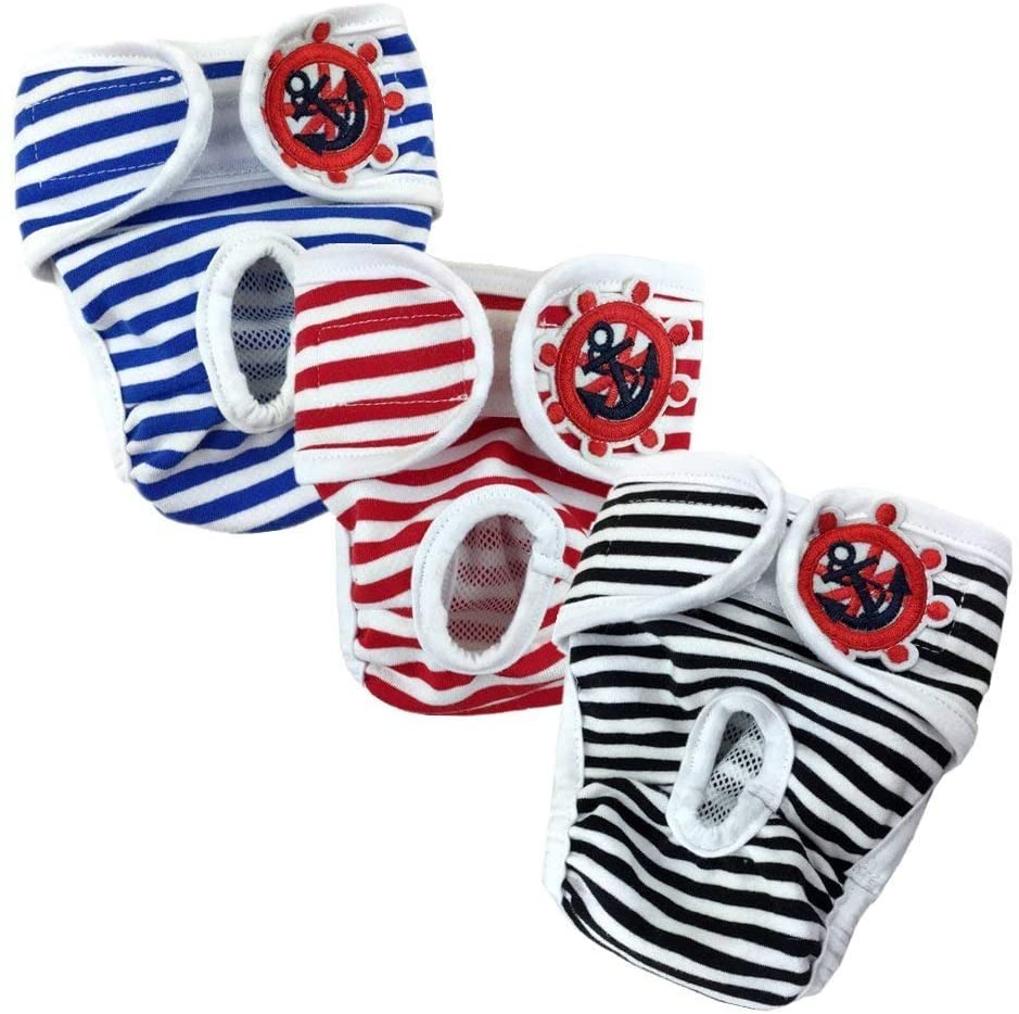 ������� ���ѥ��˥��꡼�ѥ�� 3�� ������ �����Ѳ�ǽ ������ �ѥ�� ���λ��� ���� ȯ����� �����ѥ��